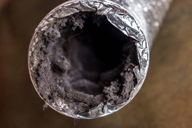 Best Air Duct Cleaning Near Me  in Pimmit Hills, VA